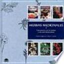 Hierbas medicinales / Medicinal Herbs