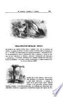 Historia de Cabrera y de la guerra civil en Aragon