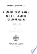 Historia panorámica de la literatura puertorriqueña (1589-1959): Siglos XVI, XVII, XVIII, y XIX,-t. 2. Siglo XX