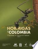 Hormigas de Colombia