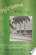 Informe mensual