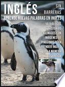 Inglés Sin Barreras - Aprende Nuevas Palabras en Inglés