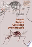 Insecta Diptera Culicidae Uranotaenia