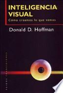 Inteligencia visual