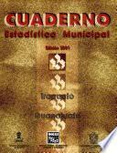 Irapuato Guanajuato. Cuaderno estadístico municipal 2001