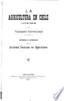 La agricultura en Chile en los últimos cincuenta años