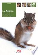 La ardilla