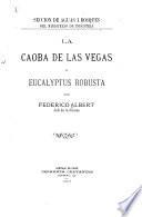 La caoba de las vegas, o Eucalyptus robusta