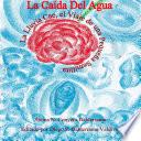 La Ca’da Del Agua La Lluvia Cae, el Viaje de una Peque–a Semillita