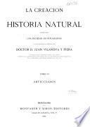 La Creación: Articulados