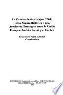 La Cumbre de Guadalajara, 2004
