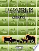 La ganadería en Chiapas