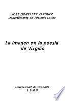 La imagen de la poesía de Virgilio