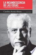 La incandescencia de las cosas