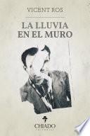 La lluvia en el muro