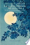 La luz cuadrada de la luna