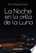 La noche en la orilla de la luna