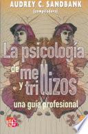 La Psicologia de Mellizos y Trillizos: Una Guia Profesional = Twins and Triplets Psychology