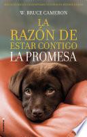 La razón de estar contigo. La promesa