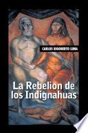La rebelion de los indignahuas