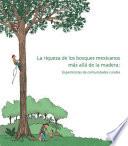 La riqueza de los bosques mexicanos: mas alla de la madera: experiencias de comunidades rurales