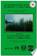 La sociedad rural mexicana frente al nuevo milenio, Vol. II