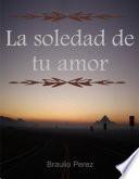 La soledad de tu amor