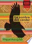 La sombra del Condor