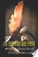 La Sombra Que Pasa
