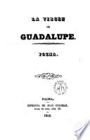 La Virgen de Guadalupe, Poema