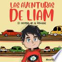 Las aventuras de Liam