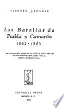 Las Batallas de Puebla y Camarón, 1862-1863, la intervención francesa en México vista por un soldado francés que llegó con el cuerpo expedicionario