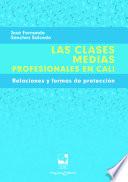 Las clases medias profesionales en Cali