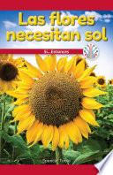 Las flores necesitan sol: Si... Entonces (Flowers Need Sun: If...Then)