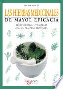 Las hierbas medicinales de mayor eficacia