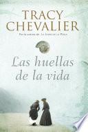 Las huellas de la vida