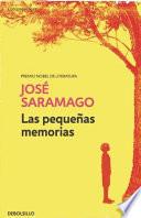 Las pequeas memorias / Small Memories