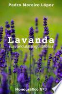 Lavanda