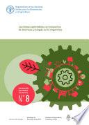 Lecciones aprendidas en proyectos de biomasa y biogás en la Argentina