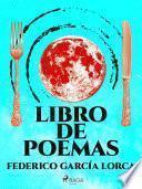 Libro de poemas