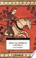 Libros de caballerías castellanos