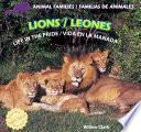 Lions: Life in the Pride / Leones: Vida en la manada