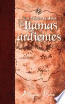Llamas ardientes