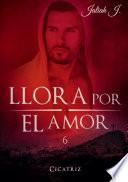 Llora por el amor 6
