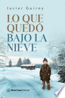Lo que quedó bajo la nieve