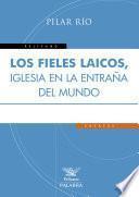 Los fieles laicos, Iglesia en la entraña del mundo