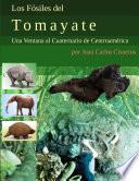 Los Fósiles del Tomayate: Una Ventana al Cuaternario de Centroamérica