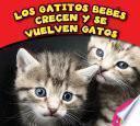 Los gatitos bebés crecen y se vuelven gatos