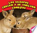 Los gazapos crecen y se vuelven conejos