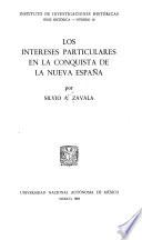 Los intereses particulares en la conquista de la Nueva España